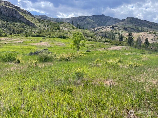 0 Lot 4 Black Canyon Road Carlton, WA 98814 - Photo 2 of 13 a view of an outdoor space and a yard