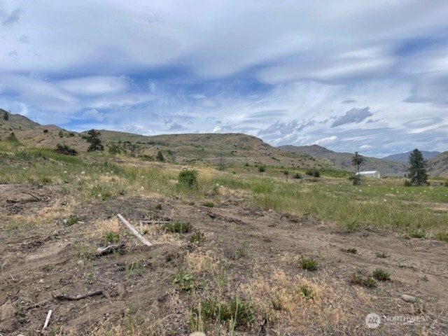 0 Lot 4 Black Canyon Road Carlton, WA 98814 - Photo 6 of 13 a view of a field with mountains in the background