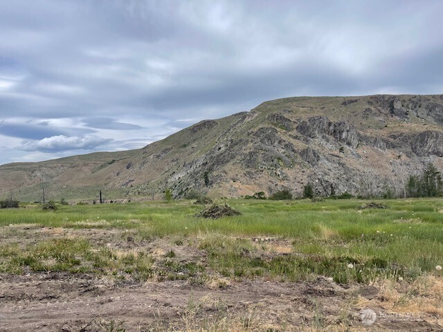 0 Lot 4 Black Canyon Road Carlton, WA 98814 - Photo 7 of 13 a view of a field with a mountain in the background