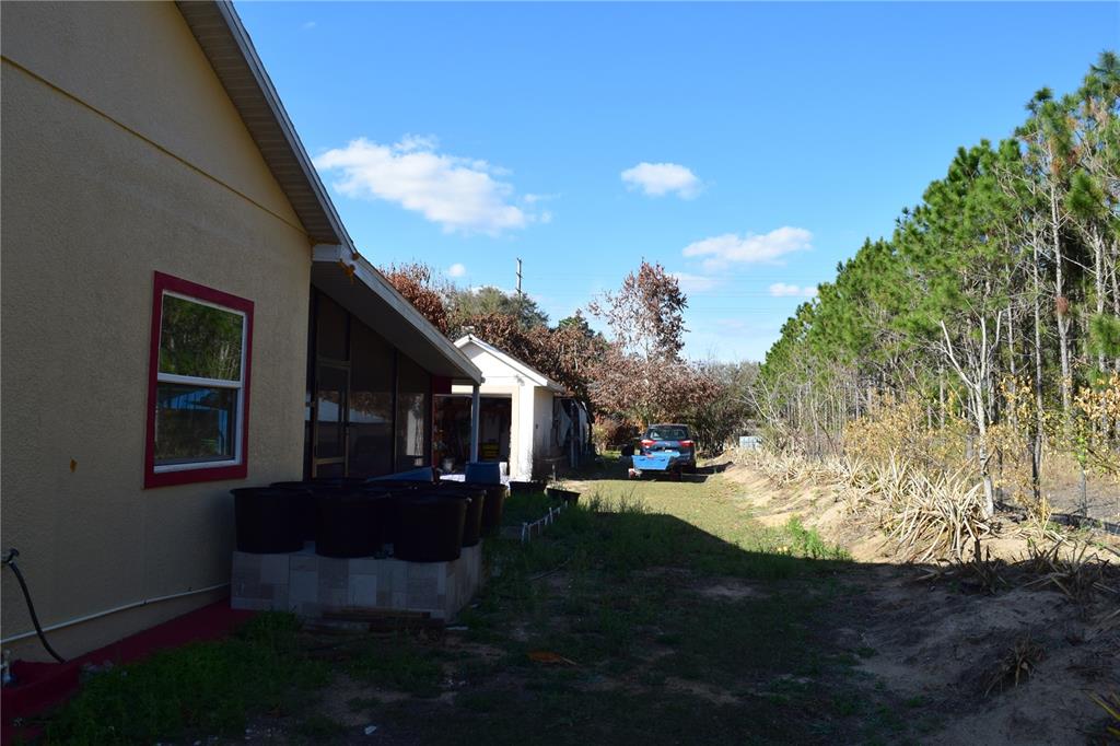 7901 North Cherry Lake Groves Road Groveland, FL 34736 - Photo 14 of 76