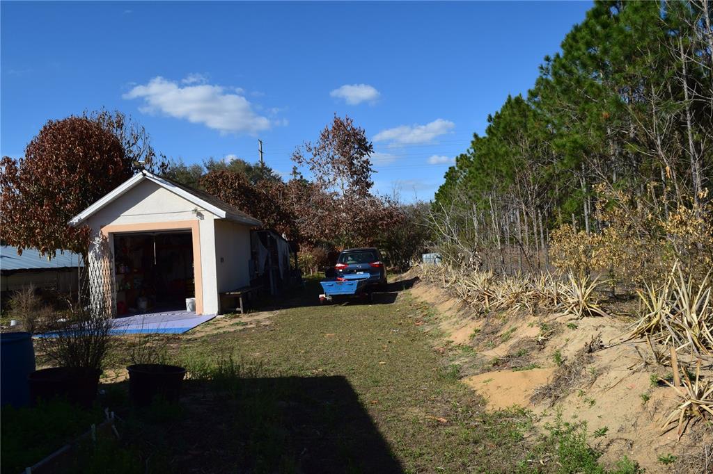 7901 North Cherry Lake Groves Road Groveland, FL 34736 - Photo 16 of 76