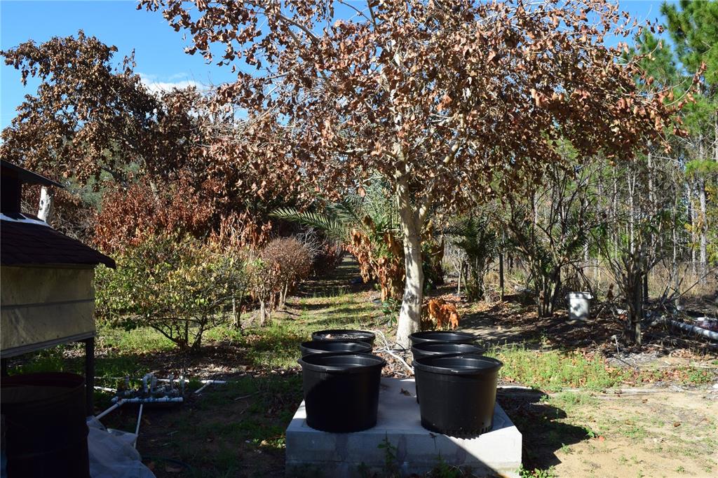 7901 North Cherry Lake Groves Road Groveland, FL 34736 - Photo 20 of 76