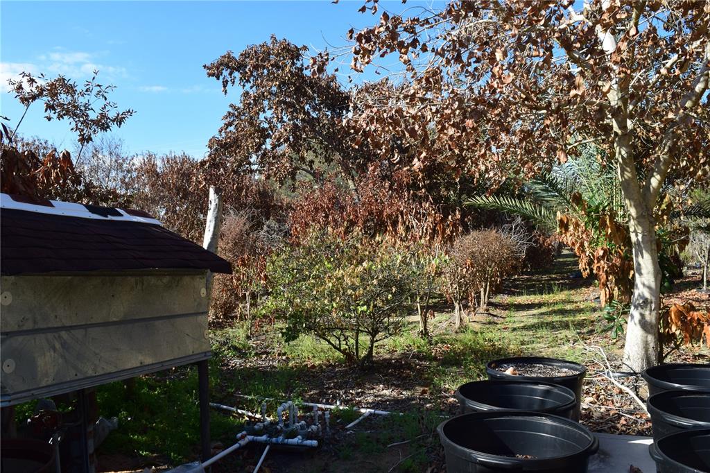 7901 North Cherry Lake Groves Road Groveland, FL 34736 - Photo 21 of 76