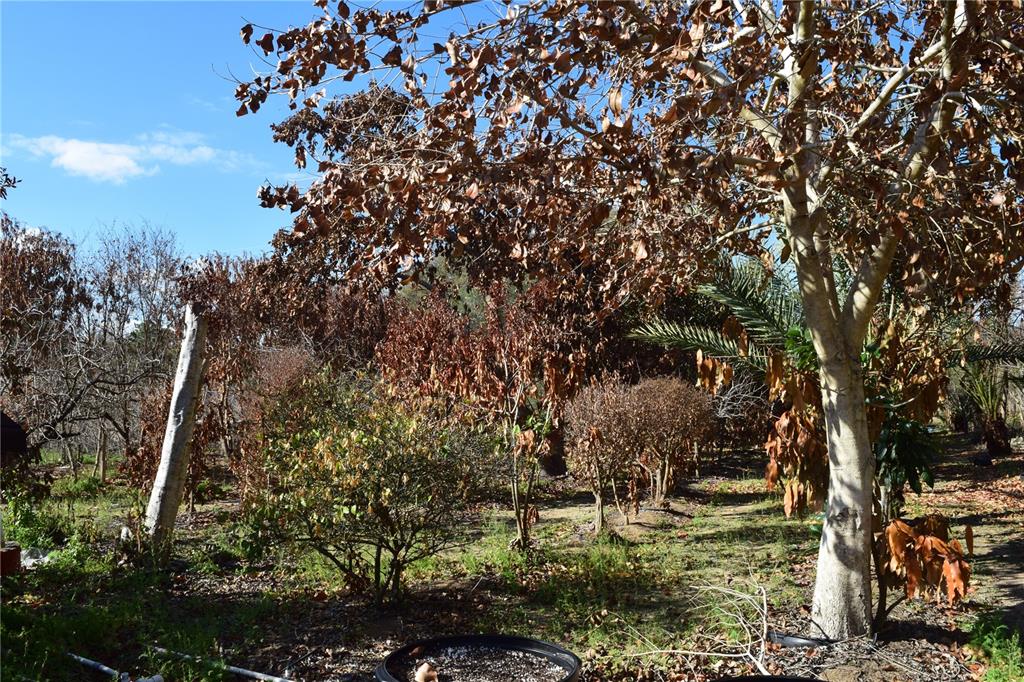 7901 North Cherry Lake Groves Road Groveland, FL 34736 - Photo 24 of 76