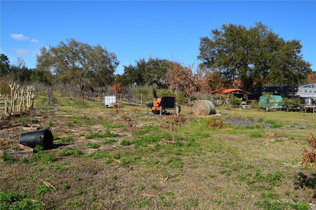 7901 North Cherry Lake Groves Road Groveland, FL 34736 - Photo 39 of 76