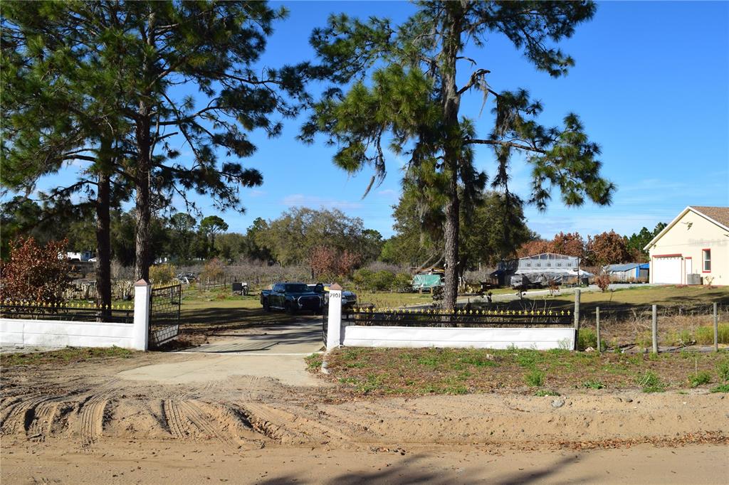 7901 North Cherry Lake Groves Road Groveland, FL 34736 - Photo 5 of 76