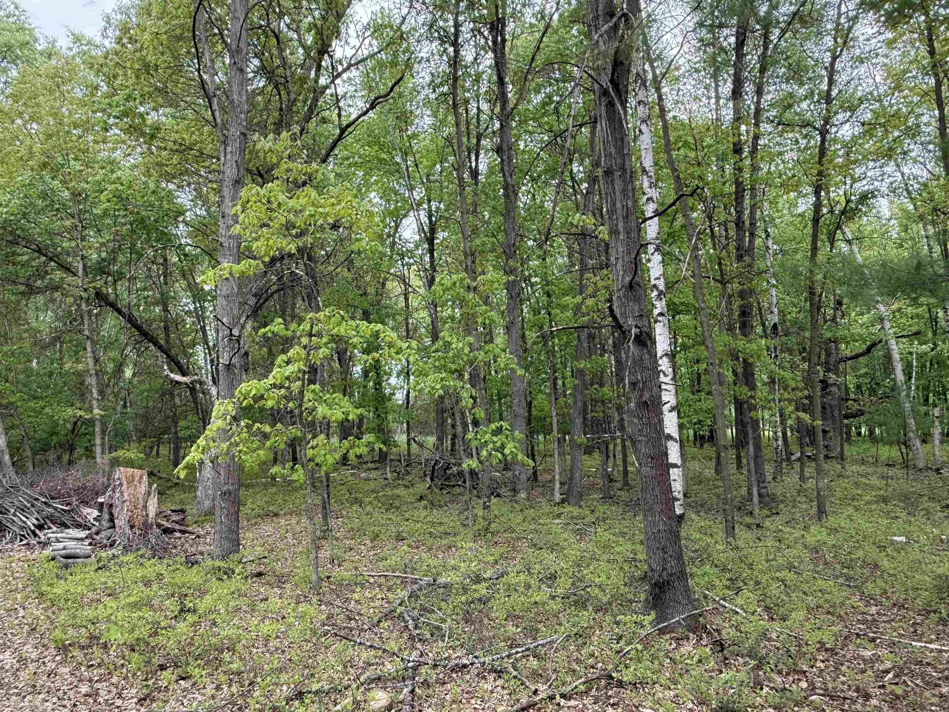 N3381 Deer Run Montello, WI 53949 - Photo 24 of 24