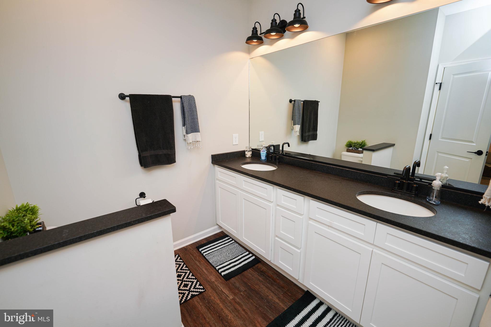 2054 Groton Road Pocomoke City, MD 21851 - Photo 23 of 42 a bathroom with a sink and a mirror