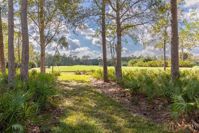 a view of an swimming pool with garden and trees