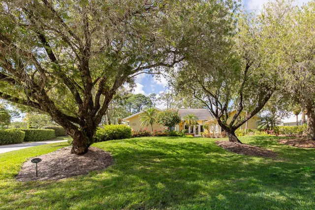 a view of backyard with large trees