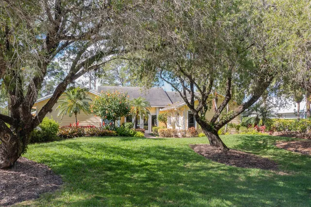 a view of a yard with plants and large trees