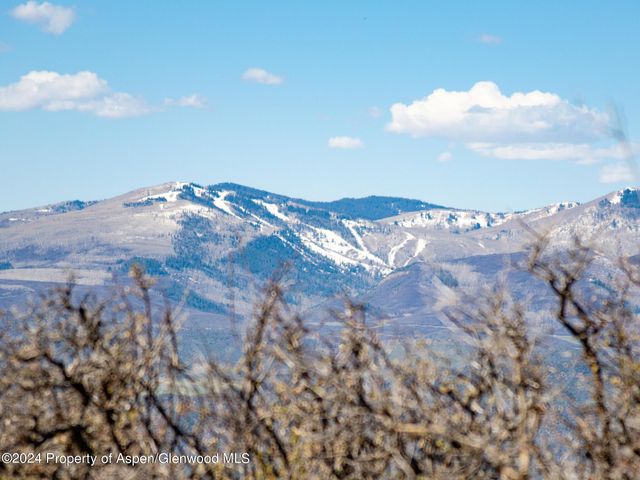 a view of a big yard with plants and trees