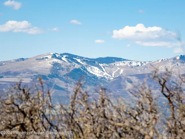 a view of a big yard with plants and trees