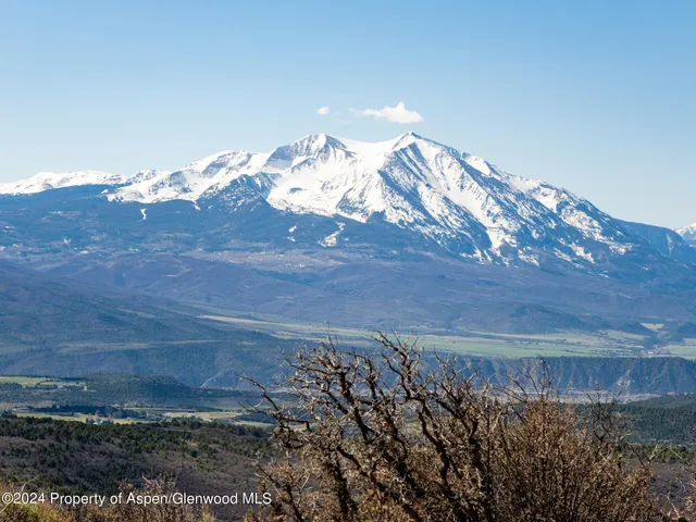 a view of a green field with lots of bushes