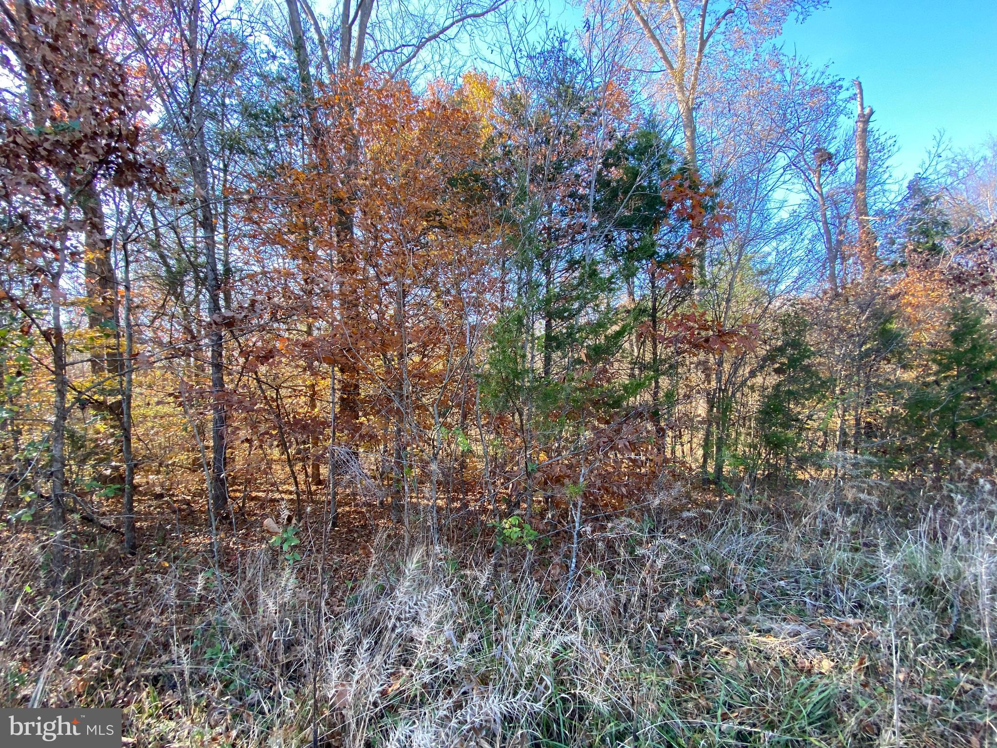 Marquis Road Orange, VA 22960 - Photo 14 of 25 Gallery Image 14