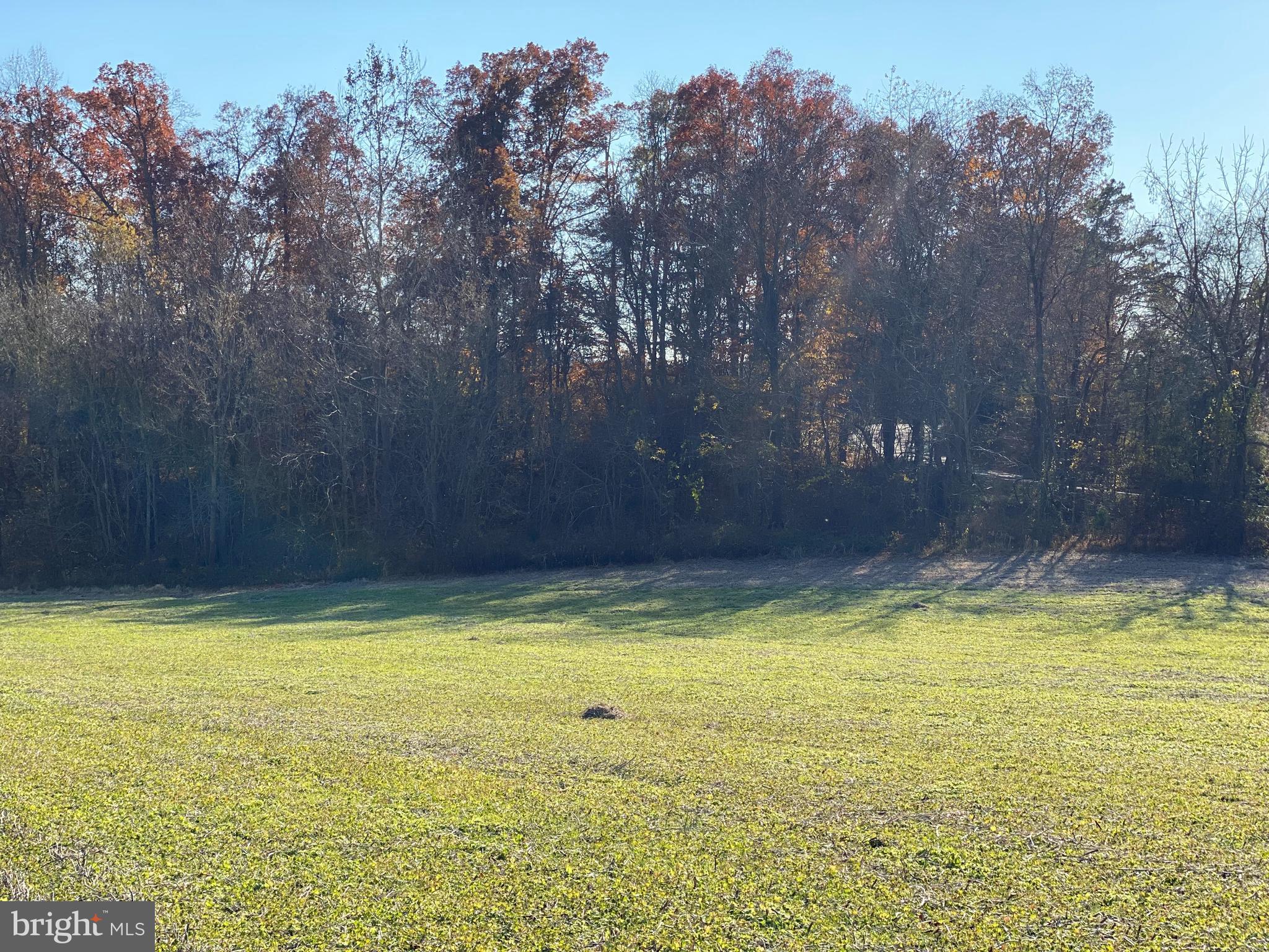 Marquis Road Orange, VA 22960 - Photo 20 of 25 Gallery Image 20