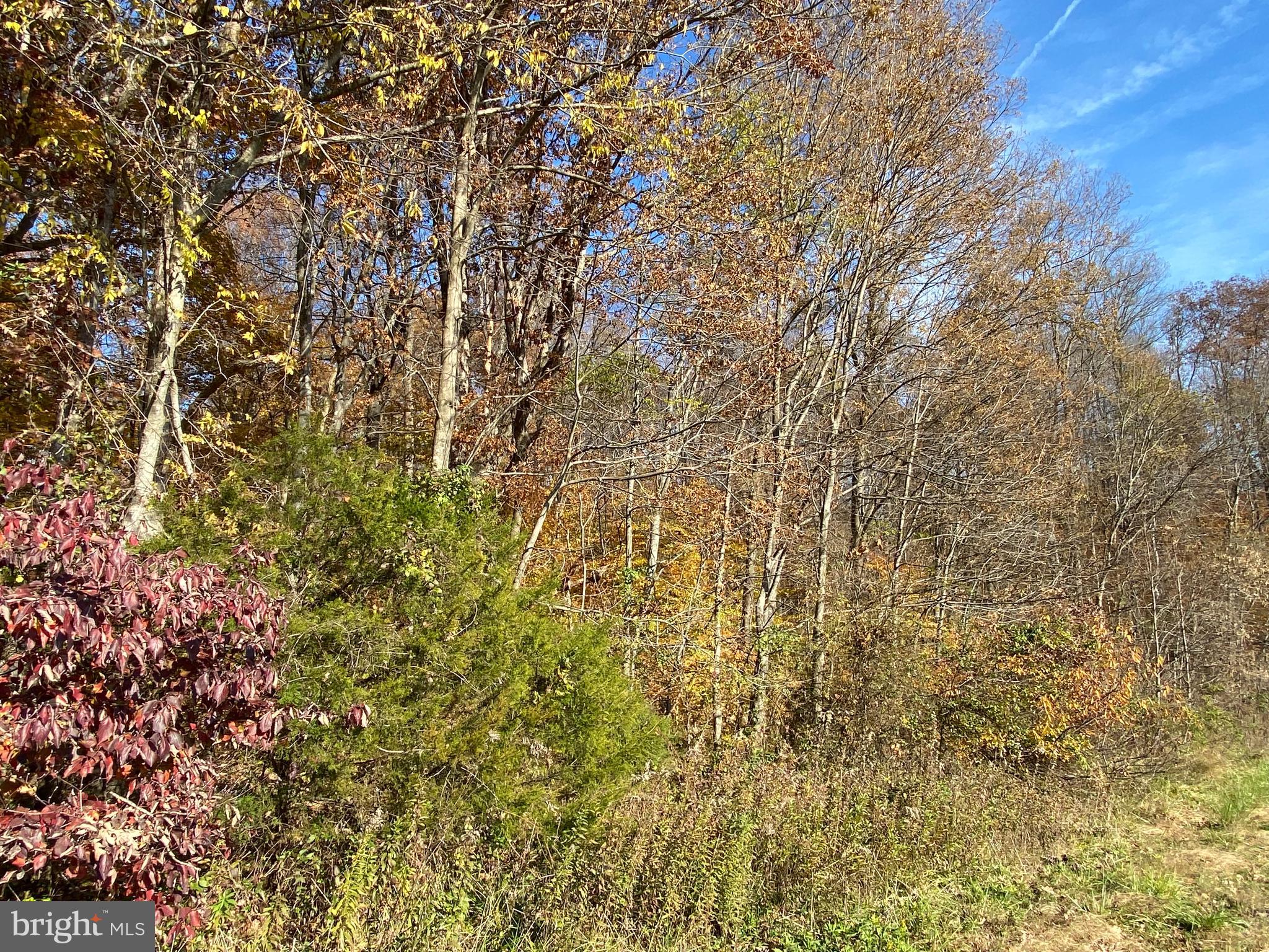 Marquis Road Orange, VA 22960 - Photo 4 of 25 Gallery Image 4