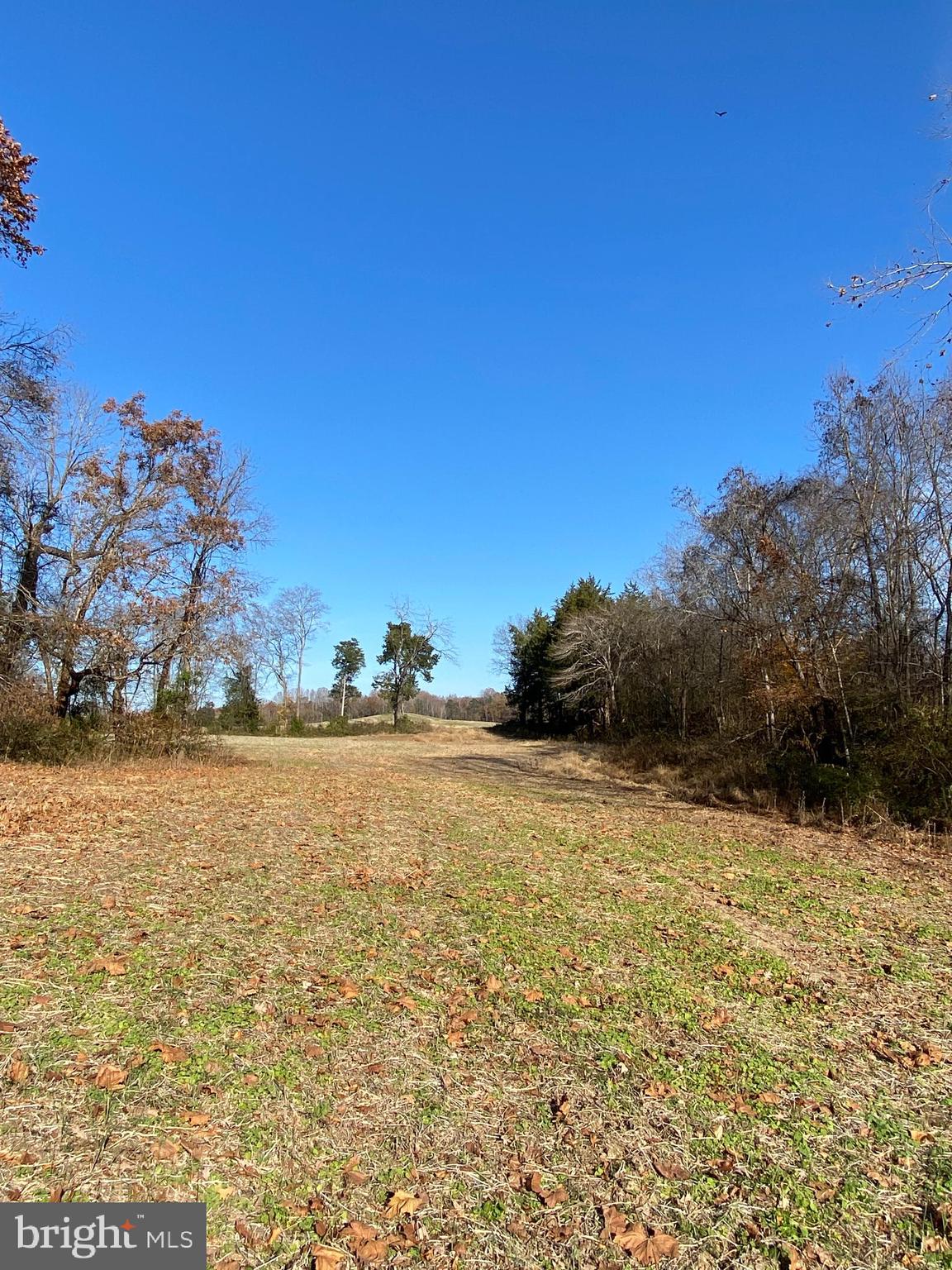 Marquis Road Orange, VA 22960 - Photo 8 of 25 Gallery Image 8