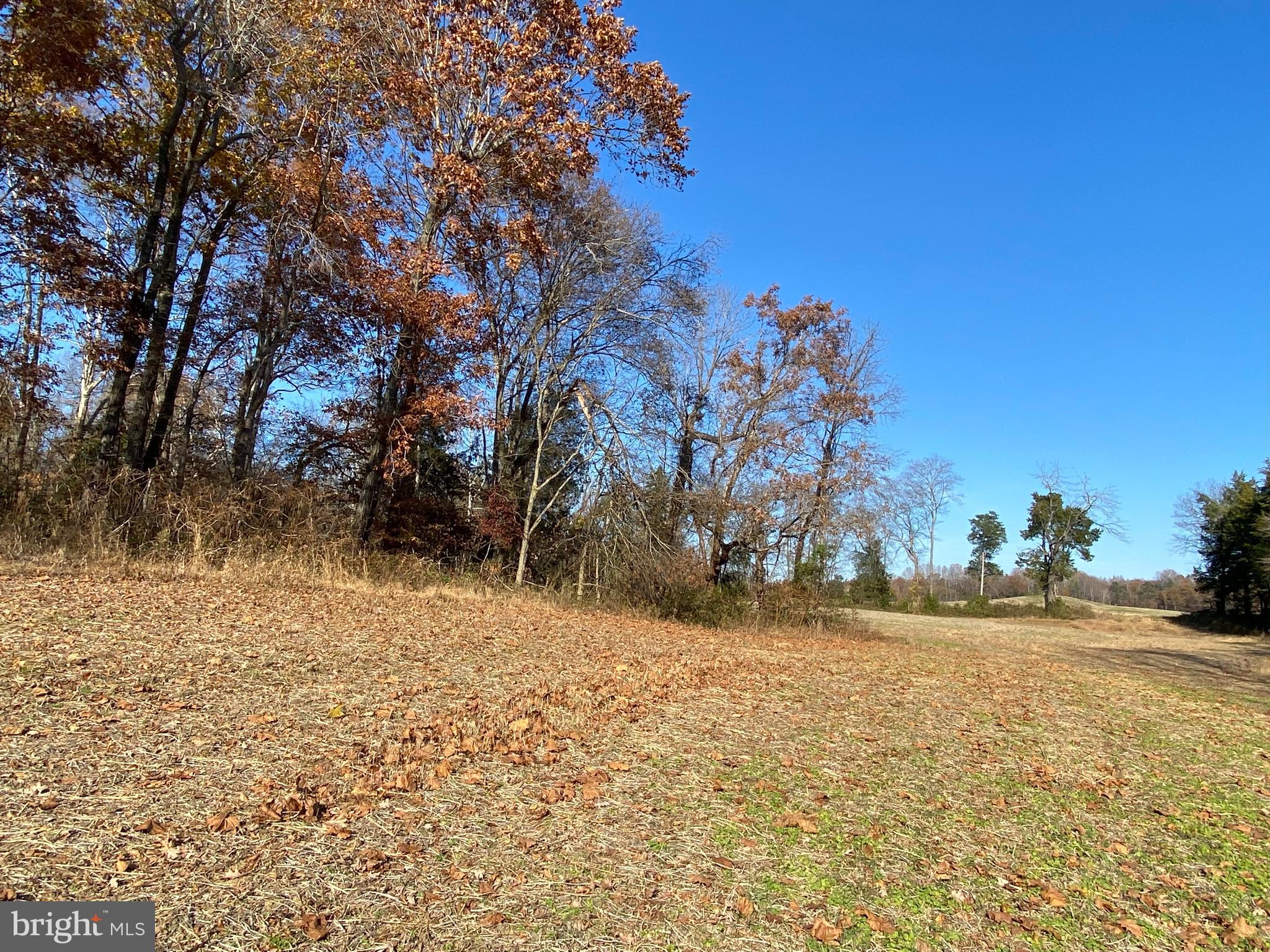 Marquis Road Orange, VA 22960 - Photo 9 of 25 Gallery Image 9