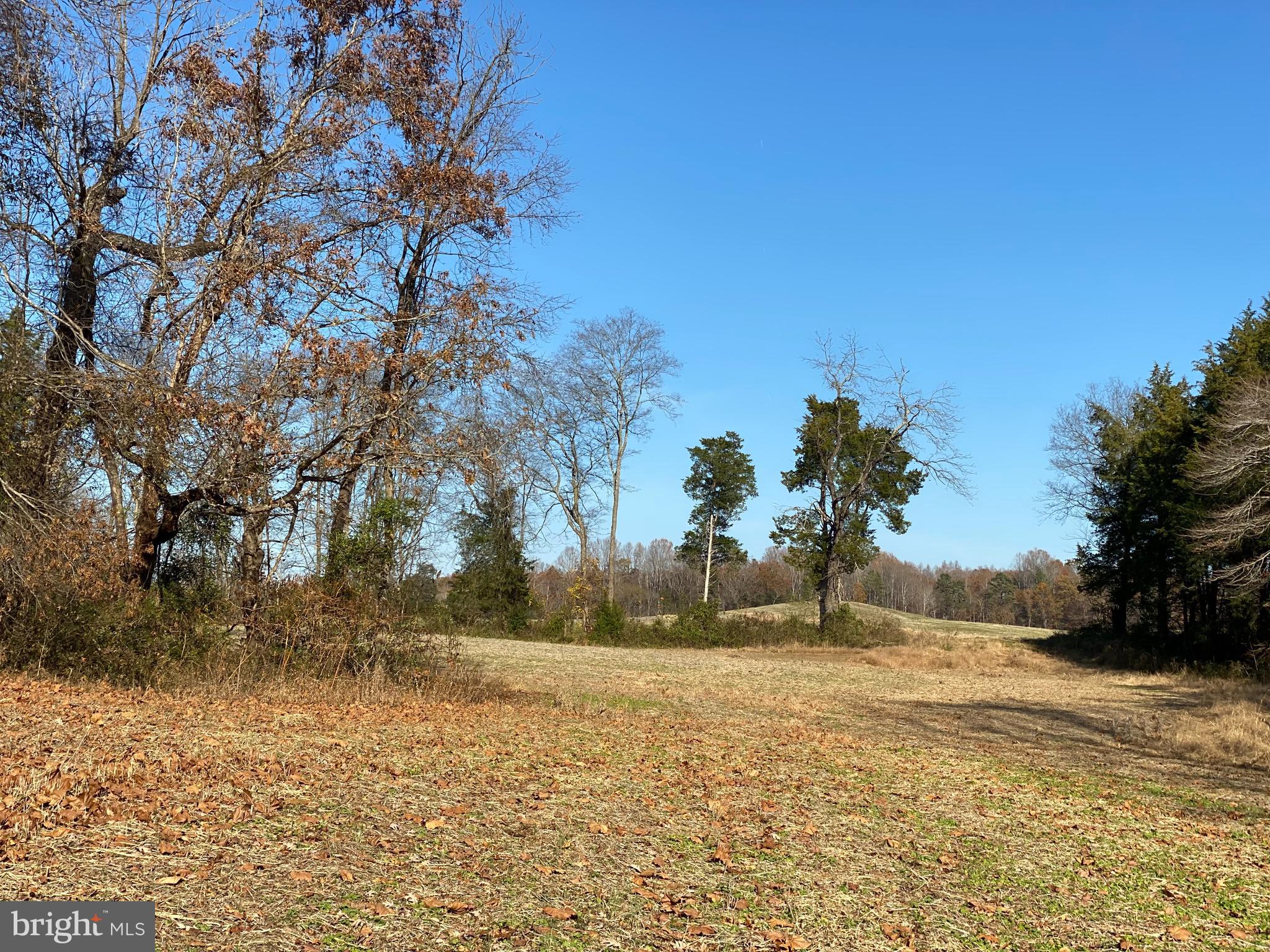 Marquis Road Orange, VA 22960 - Photo 10 of 25 Gallery Image 10