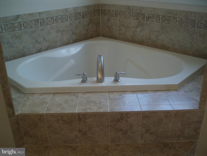 3 Elmer Derr Road Frederick, MD 21703 - Photo 21 of 30 a close view of bath tub