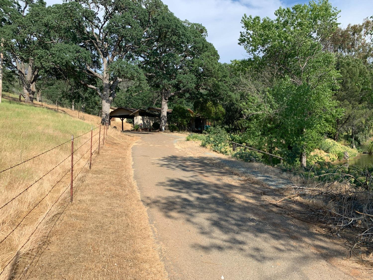 1172 Hodson Road Copperopolis, CA 95228 - Photo 27 of 94 a view of a yard with plants and trees