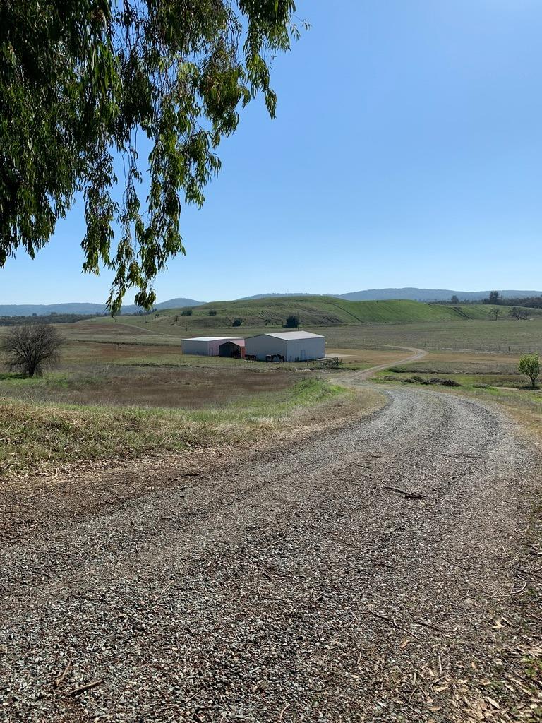 1172 Hodson Road Copperopolis, CA 95228 - Photo 45 of 94