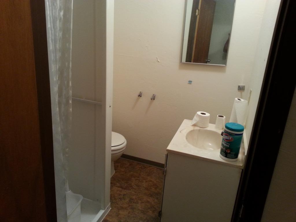 1172 Hodson Road Copperopolis, CA 95228 - Photo 59 of 94 a bathroom with a sink and a toilet