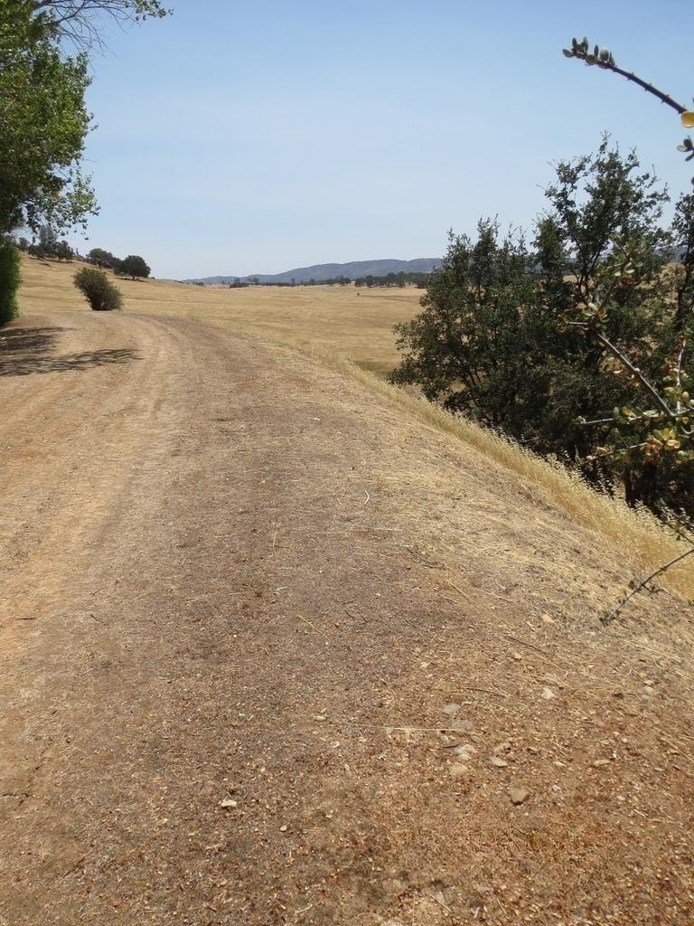 1172 Hodson Road Copperopolis, CA 95228 - Photo 68 of 94