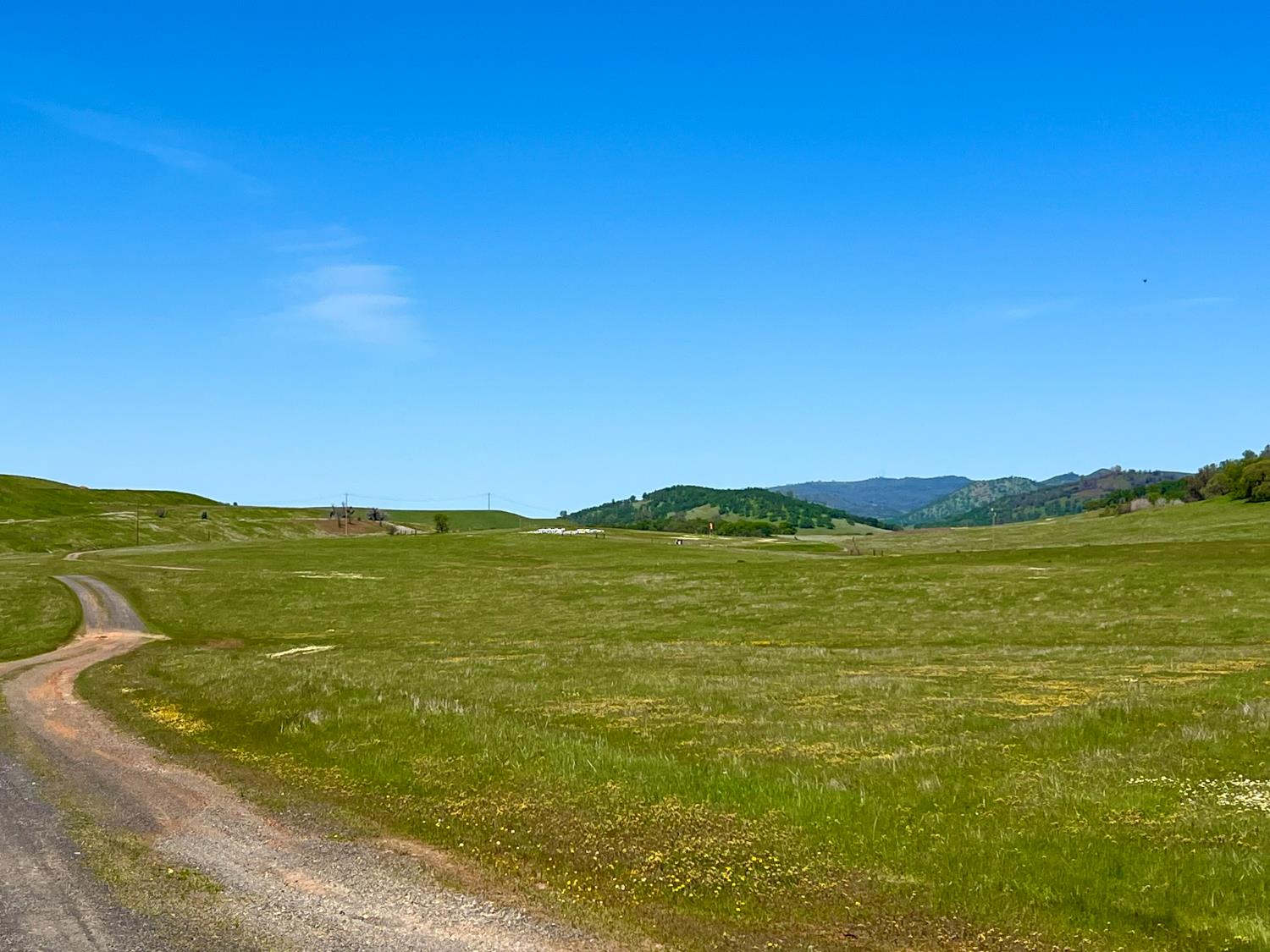 1172 Hodson Road Copperopolis, CA 95228 - Photo 7 of 94 a view of an ocean from a mountain