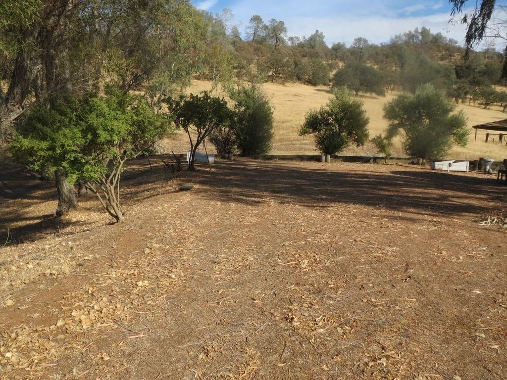 1172 Hodson Road Copperopolis, CA 95228 - Photo 74 of 94