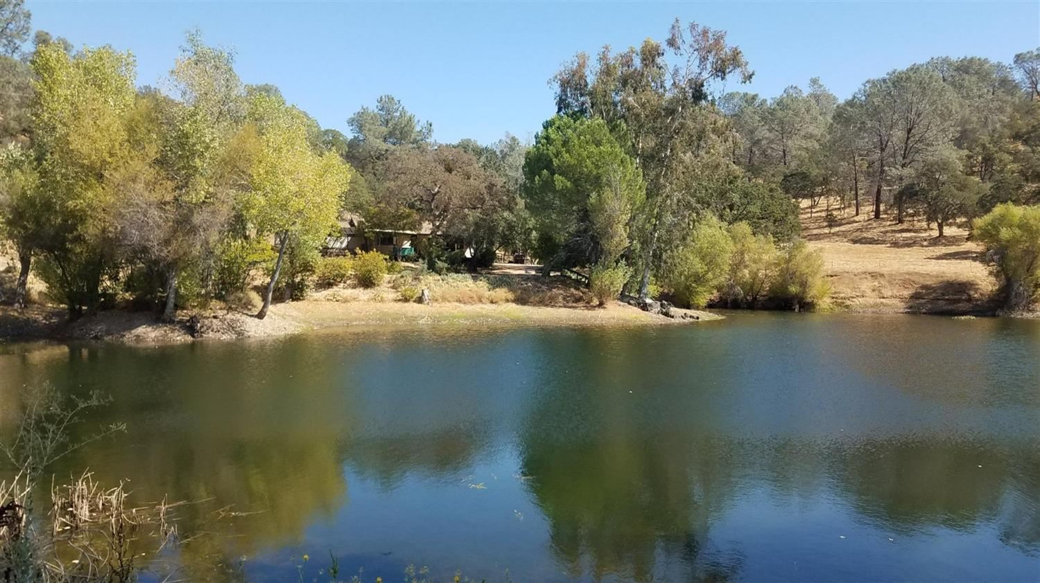 1172 Hodson Road Copperopolis, CA 95228 - Photo 79 of 94