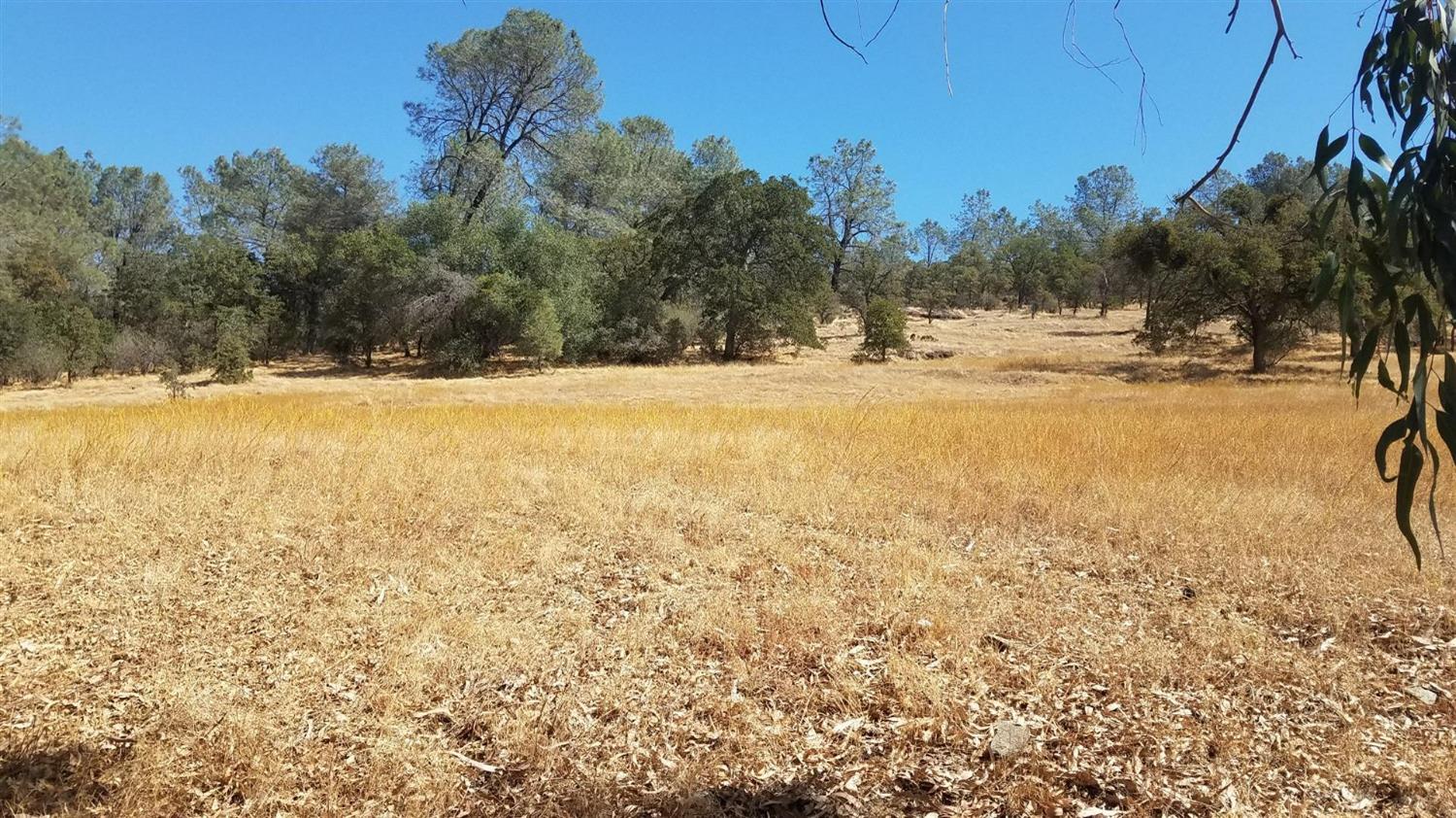 1172 Hodson Road Copperopolis, CA 95228 - Photo 82 of 94