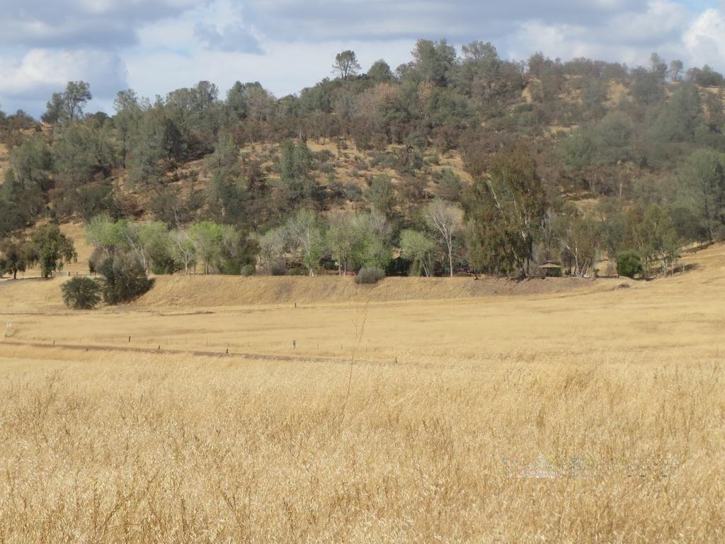 1172 Hodson Road Copperopolis, CA 95228 - Photo 86 of 94