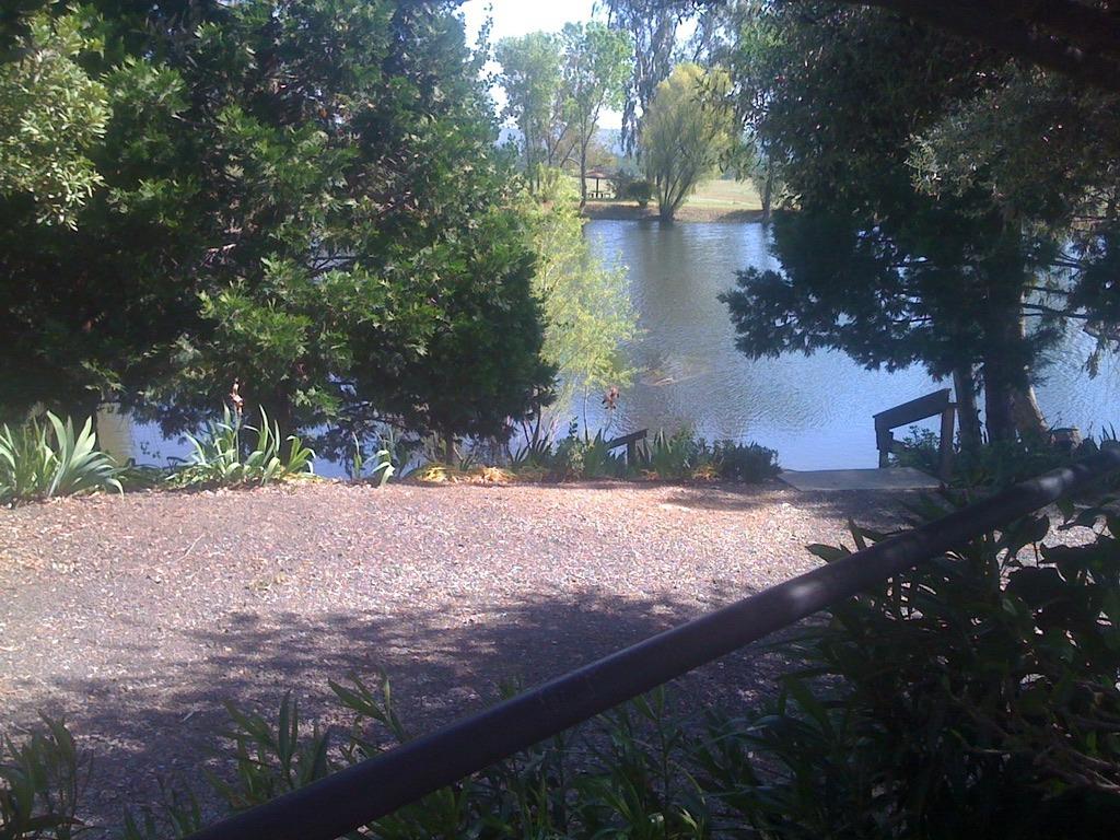 1172 Hodson Road Copperopolis, CA 95228 - Photo 92 of 94