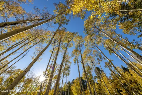 $4,250,000 | Tbd Fish Creek Road, Wilson, WY 83014