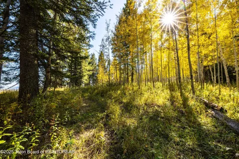 $4,250,000 | Tbd Fish Creek Road, Wilson, WY 83014