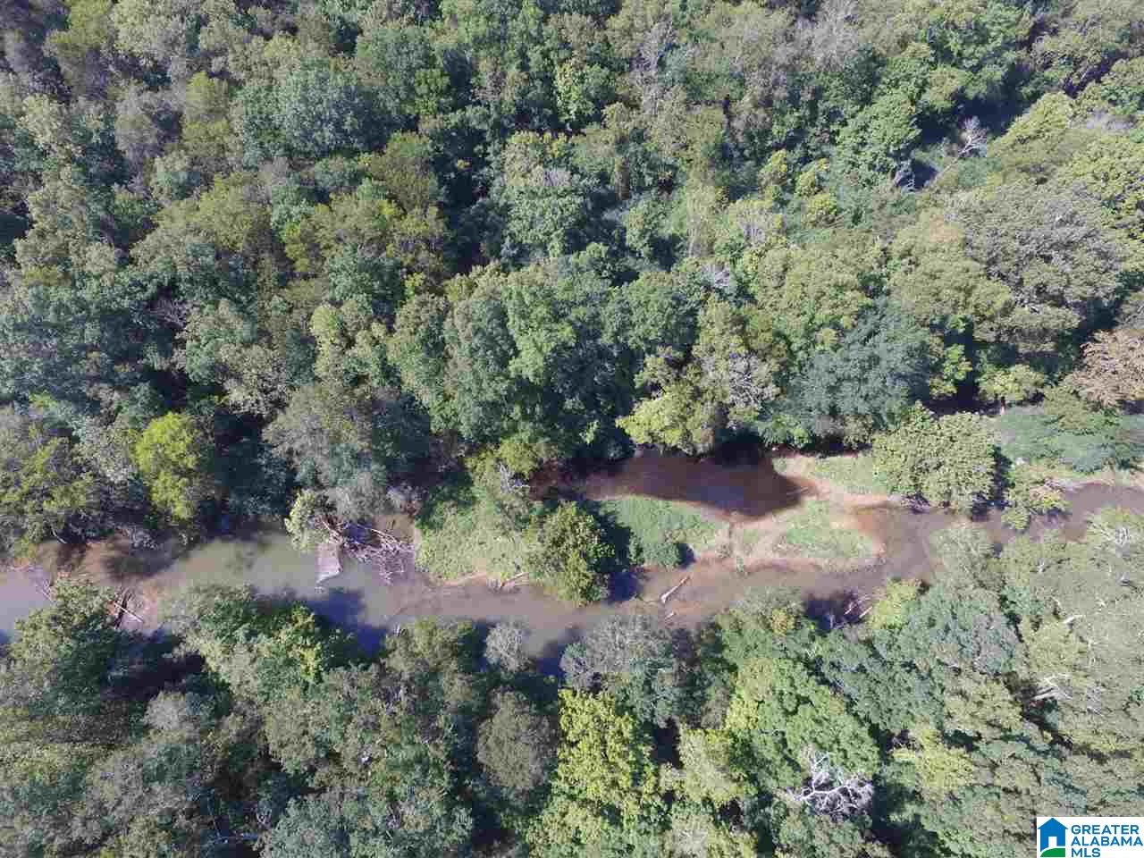 Double Bridge Road, Unit 35 Steele, AL 35987 - Photo 6 of 8