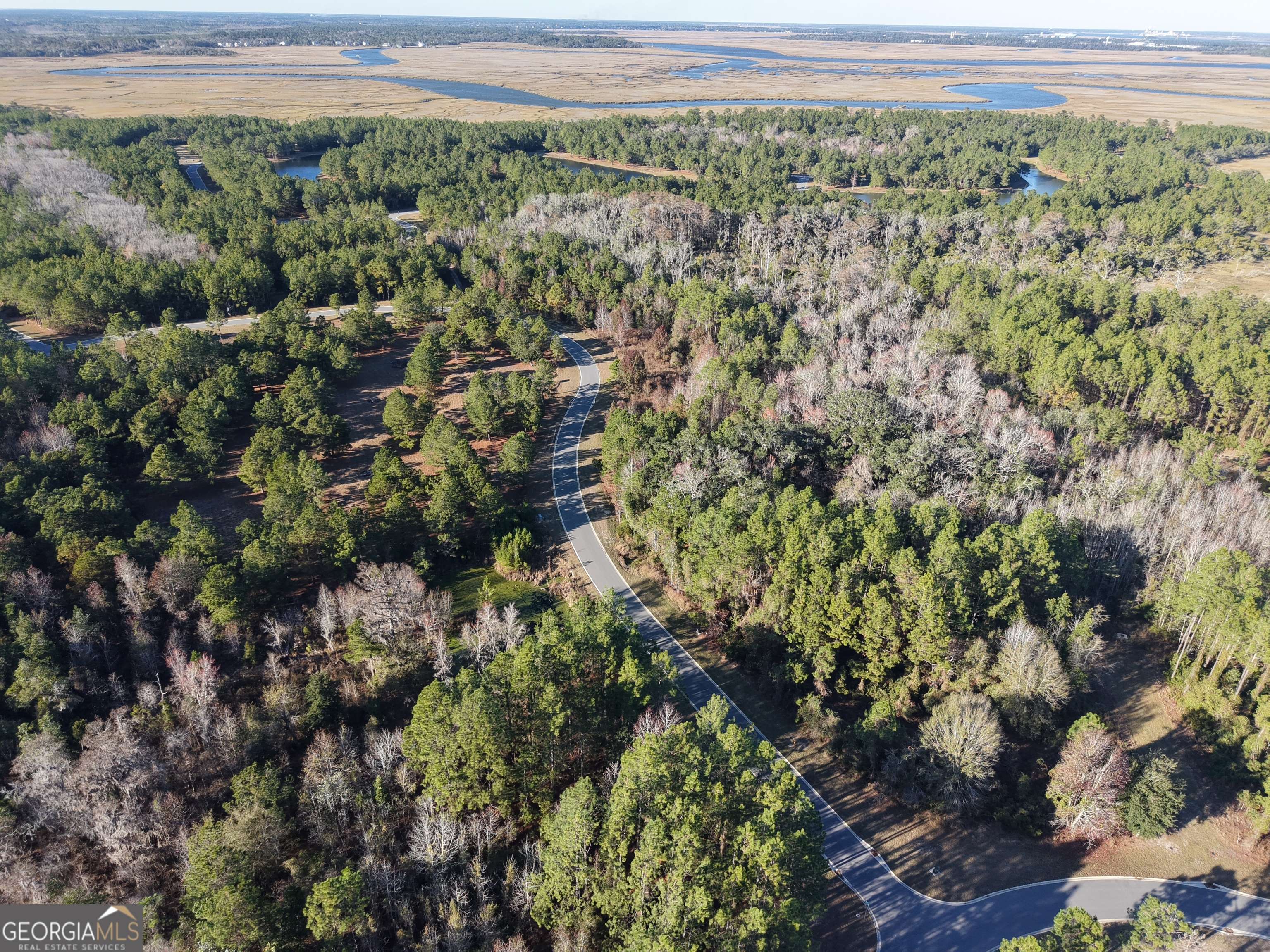 Lot 388 Bridge View Lane Waverly, GA 31565 - Photo 11 of 12 a view of a green field