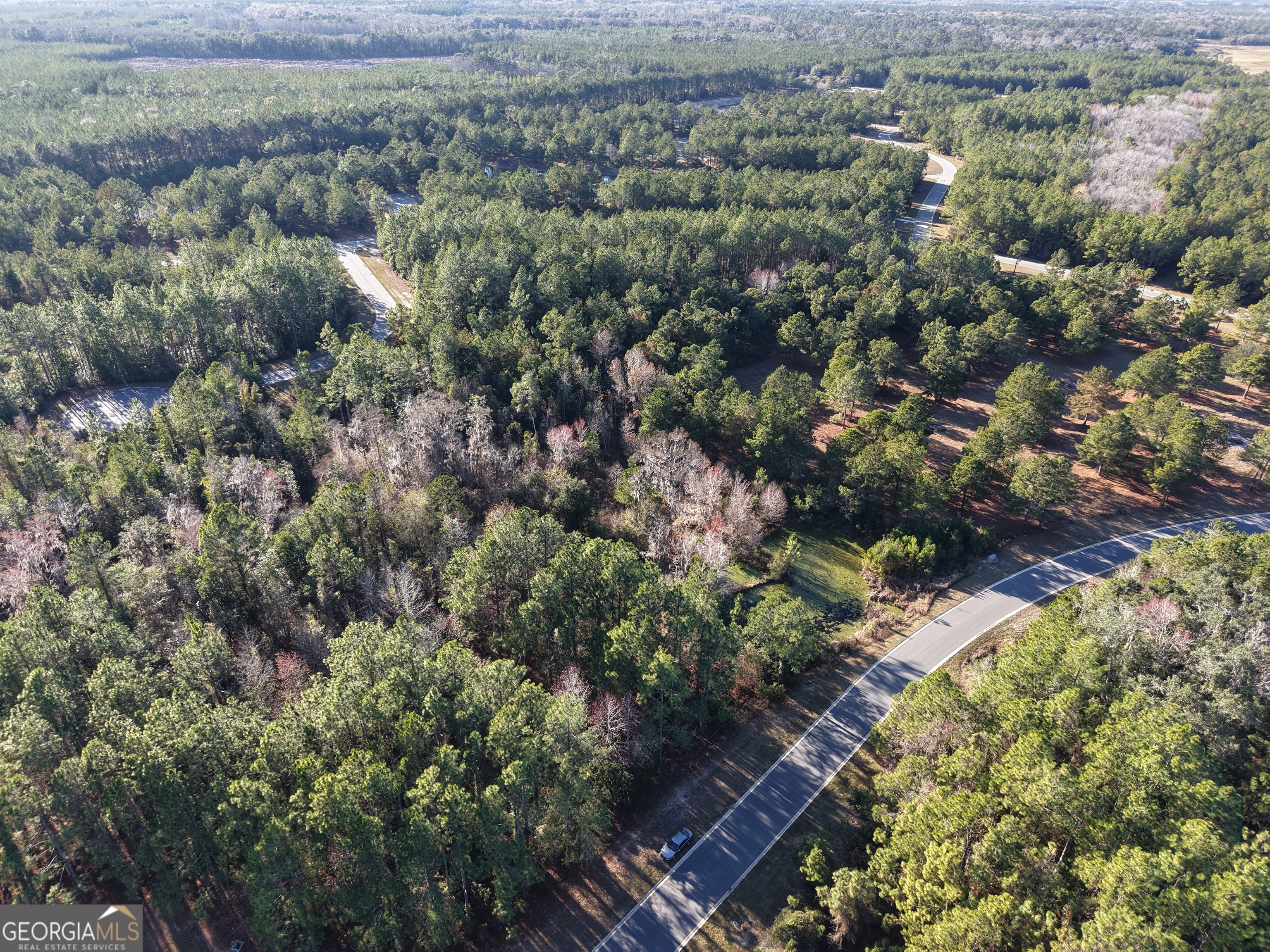 Lot 388 Bridge View Lane Waverly, GA 31565 - Photo 12 of 12 an aerial view of house with yard