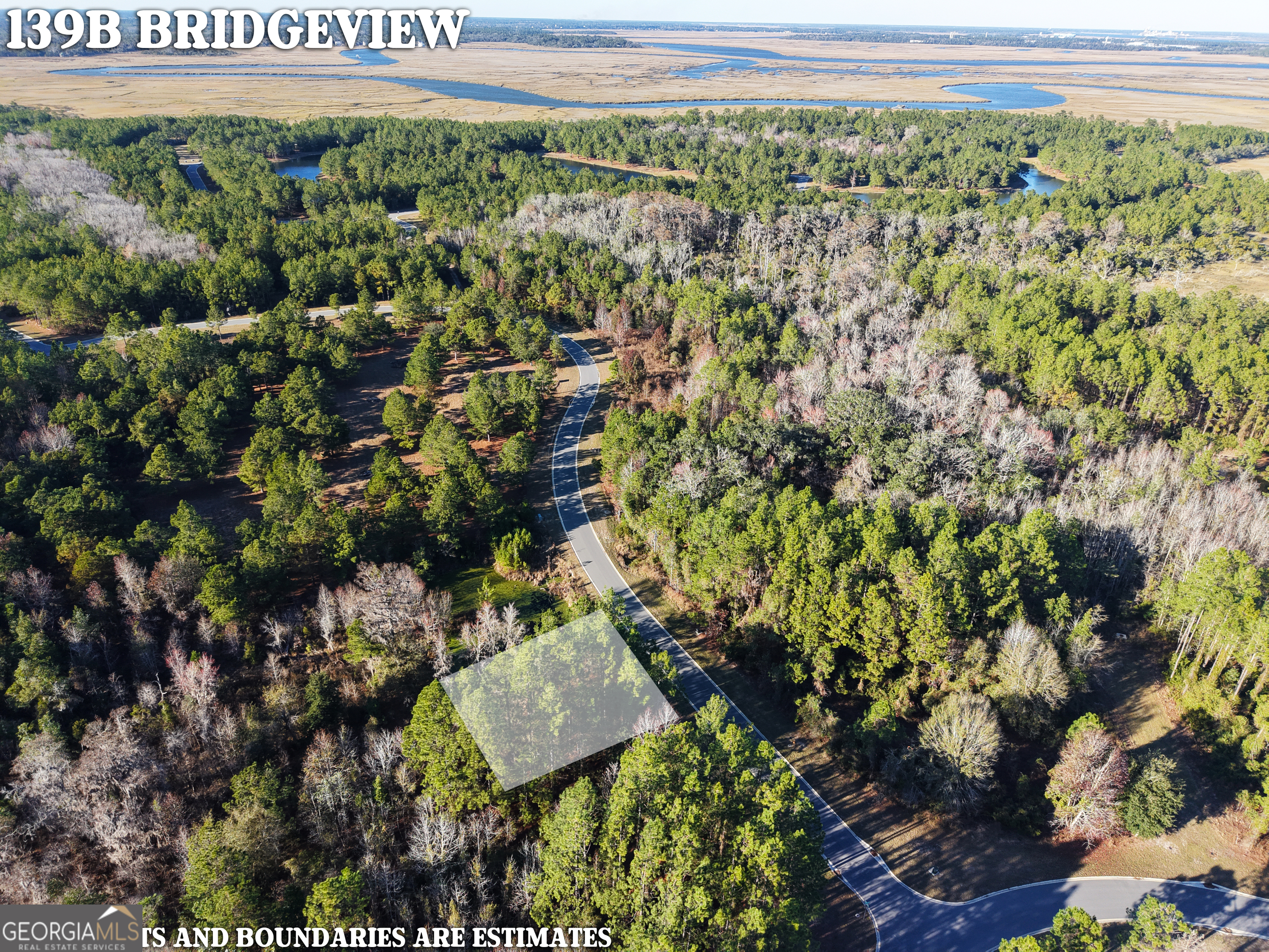 Lot 388 Bridge View Lane Waverly, GA 31565 - Photo 2 of 12 a picture of a tree