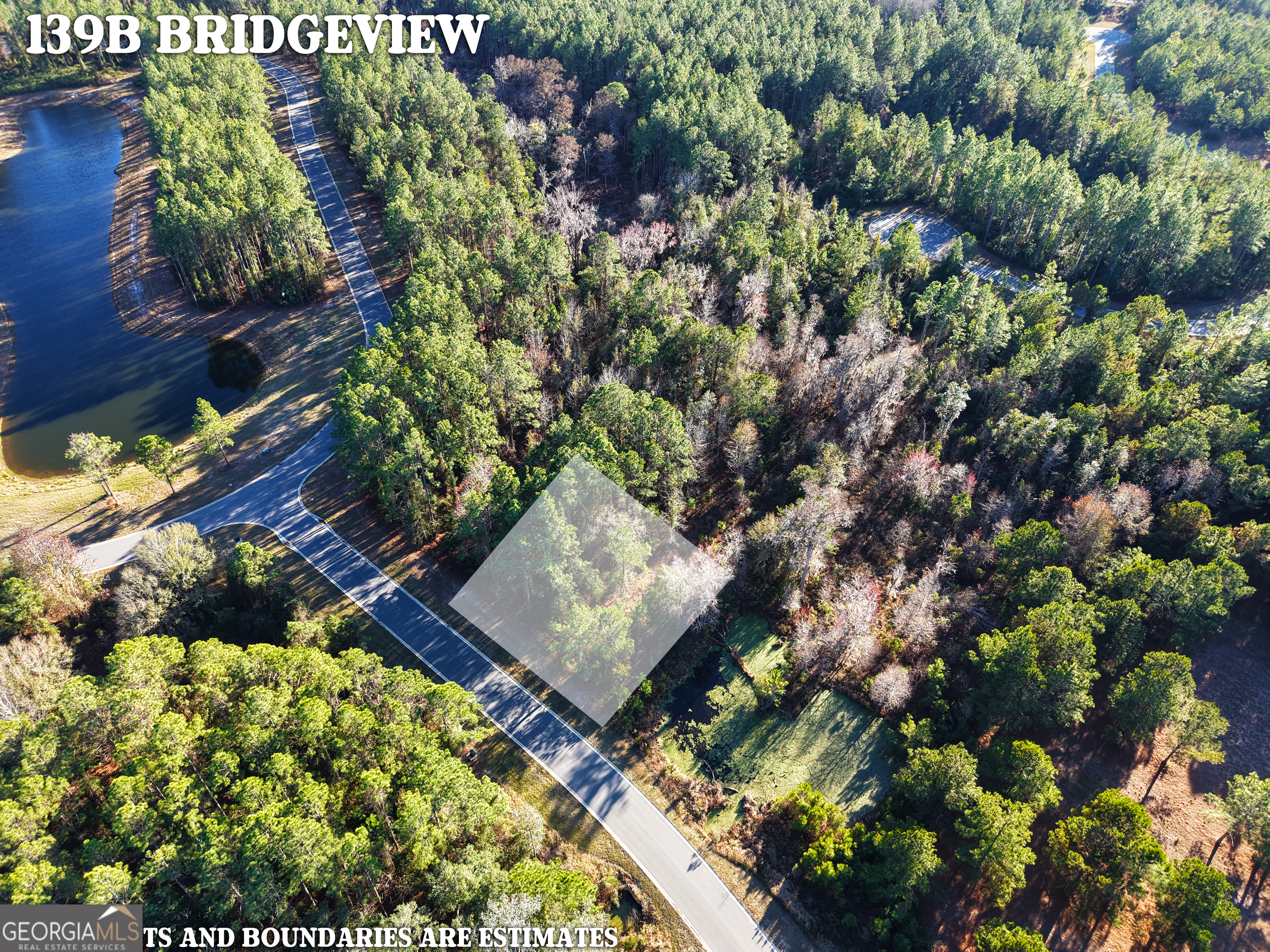 Lot 388 Bridge View Lane Waverly, GA 31565 - Photo 4 of 12