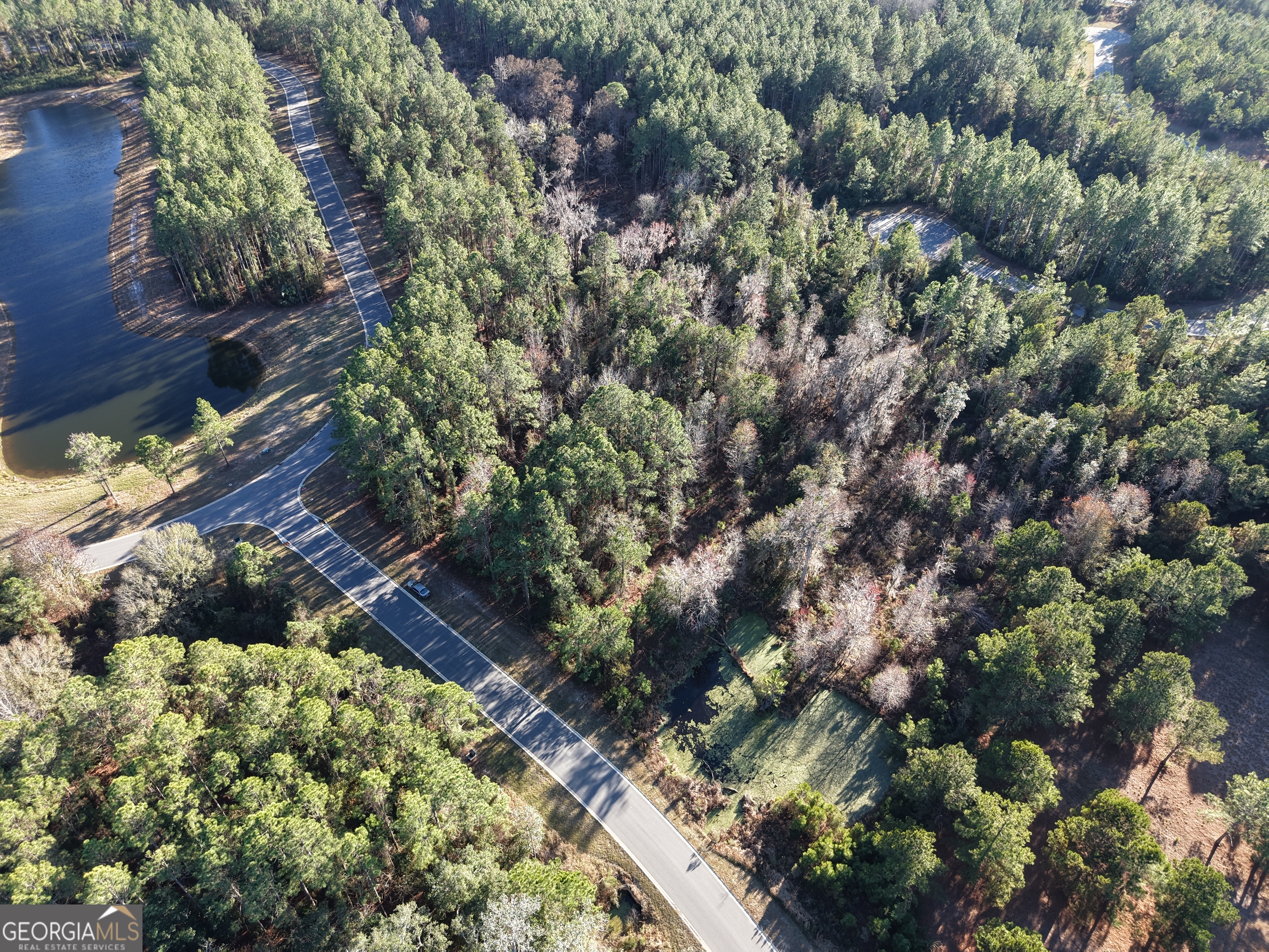Lot 388 Bridge View Lane Waverly, GA 31565 - Photo 8 of 12 a view of a garden with plants