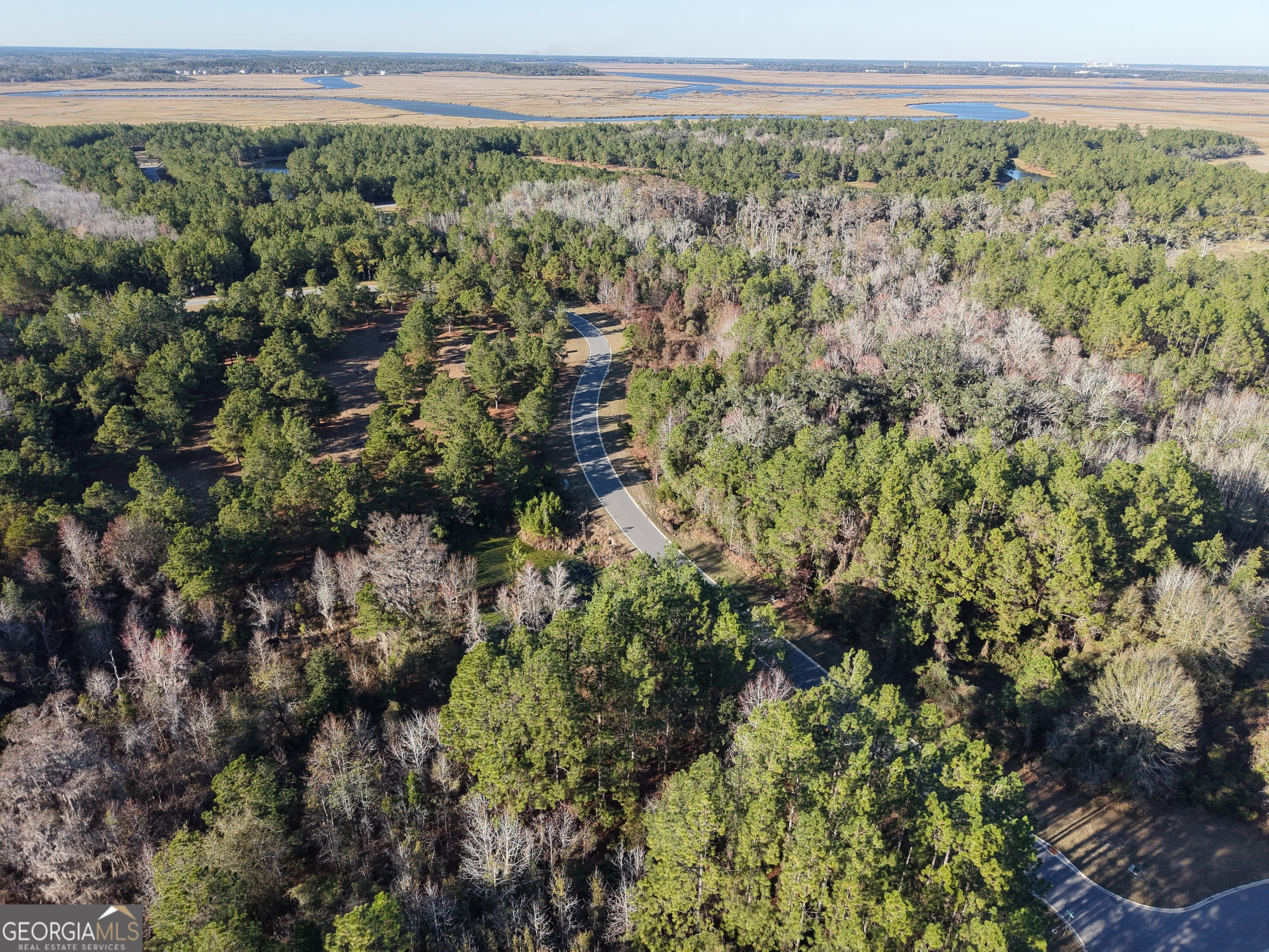 Lot 388 Bridge View Lane Waverly, GA 31565 - Photo 10 of 12 a view of a big yard with lots of bushes