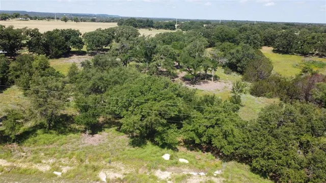 a view of a yard with plants