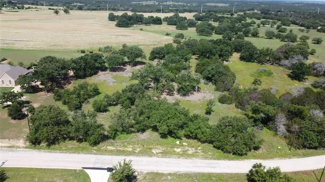 an aerial view of residential houses with outdoor space and trees