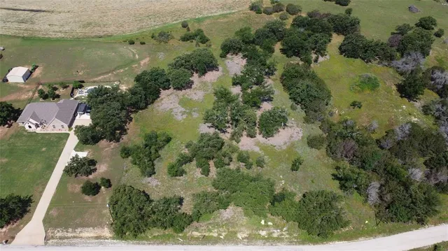 a view of a forest with a lake