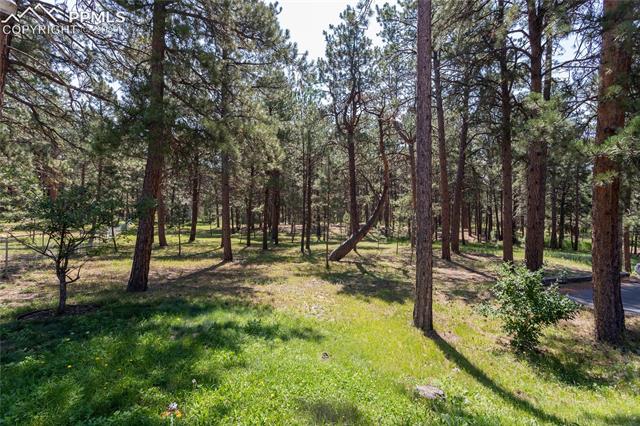 19065 Deerfield Road Monument, CO 80132 - Photo 49 of 49
