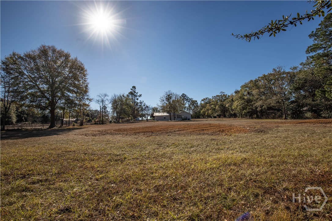 1023 Odessa Road Jesup, GA 31546 - Photo 6 of 30