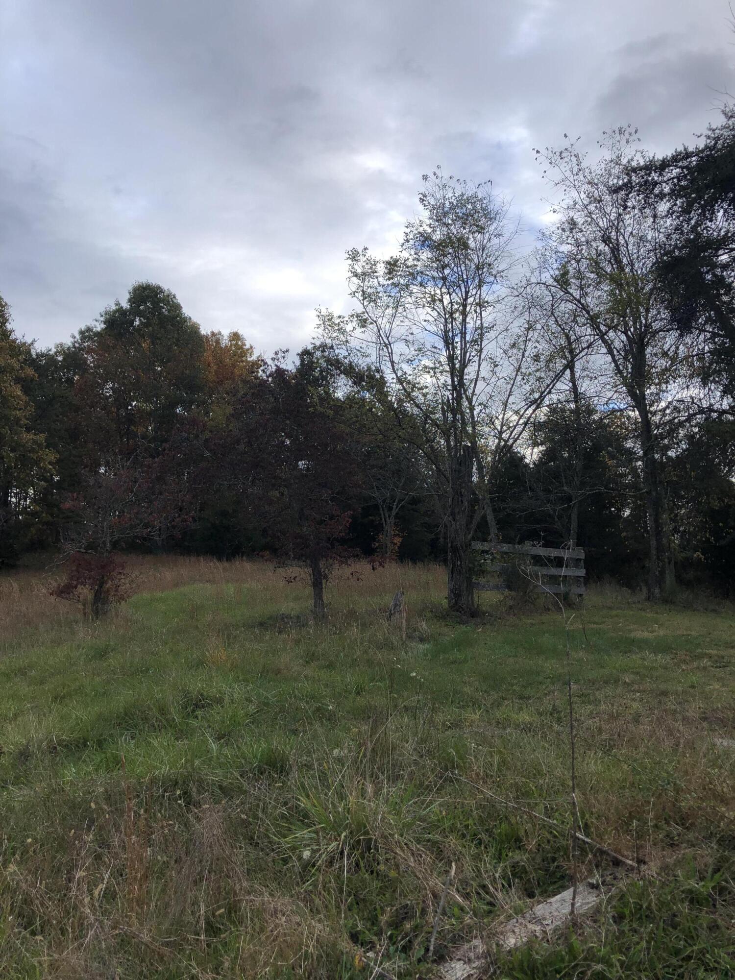 249 Lane Road Kingsport, TN 37664 - Photo 14 of 19 IMG-5852